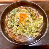 よもだそば（銀座）いろいろ手摘み野草のかき揚げそば