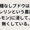 種なしブドウは危険だそうです