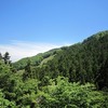 峠の茶屋付近散策（東京都西多摩郡檜原村）