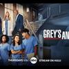 海外ドラマ『Grey’s Anatomy / グレイズアナトミー19』 感想・レビュー