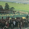 小倉競馬場5回目