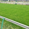 安田記念 2021 東京競馬場の天気・馬場傾向・馬場状態 直前情報＆予想