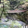 淡路島～四国の温泉一人旅 ⑧ 祖谷のかずら橋～祖谷渓温泉「ホテル秘境の湯」さん