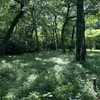 神代植物公園へお散歩