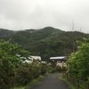 民家の魔除けが様々で楽しい。