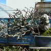 <span itemprop="headline">急ぐことはないのですが</span>