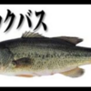 牛久沼ブラックバス都市伝説🐟