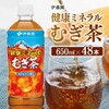 宮崎県川南町発！伊藤園むぎ茶650ml×48本で夏の水分補給を万全に