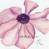  体内時計の花