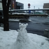 平川 津軽尾上駅から(2019/02/06)