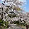 今年の春も