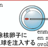  El unu guto da sango RIKEN sukcesis naskigi (kloni) klonajn musojn. / 1滴の血液からクローンマウスを誕生させることに成功