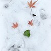 雪上がりの朝