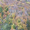 八甲田山紅葉🍁🍁🍁