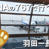 【767】ANAのベテラン機で行く夕暮れフライト 羽田ー長崎