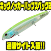 【テッケル】風の強い荒れた水面でも使用出来るペンシルベイト「キックノッカーパップスペック2」通販サイト入荷！