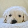 ハーレムの男たち 904話 外伝 13話 ネタバレ 先読み 原作 あらすじ どこにいても自分のことが好きだから