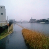 雨の鶴見川