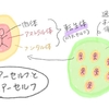 どこまでを自我（自分）と捉えるべきか？ ：意識における個別性の構造について