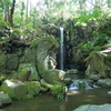 成田山新勝寺を少し散歩してきた②