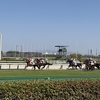 本州西側横断7泊8日旅行: 7日目〜神戸牛と阪神競馬場と中華な晩餐