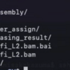 ロングリードからphased local assemblyにより2倍体ゲノムの構造変異とindelを正確に同定する VolcanoSV