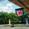 夏のダラダラスナップ祭（Carl Zeiss C Biogon T* 35/2.8 ZM多め）