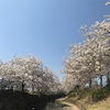 旦那さんのスキンケアどうしてる？