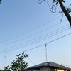 久しぶりの青空