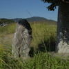 庄司川のそばにまつられる庚申塔　福岡県飯塚市津島