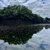 6月4日　文章は思うままに書くべきか。