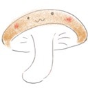 しいたけ栽培日記
