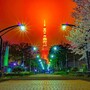 東京タワーをきれいに撮影できるオススメ写真スポットまとめ：東京観光