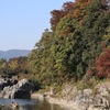 岩畳・秩父赤壁に感動…長瀞で早めの紅葉狩り🍁夫婦日帰り秩父旅③