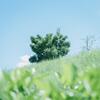 久々のブログになりました。～今想うこと～