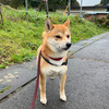 暖かいプレゼント
