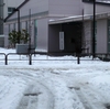 東京都知事選挙～十条～雪かき