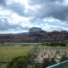 南足柄市怒田の一の堰ハラネの春めき桜＆春木径・幸せ道桜まつり