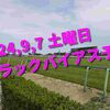 2024,9,7 土曜日 トラックバイアス予想 (中山競馬場、中京競馬場)