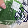 「サムギョプサル」にはなくてはならない「エゴマの葉」なかなか入手できません。。