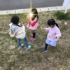 野山に春を探しに行こう！