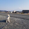 姪っ子の引っ越しの手伝いだったけど…。