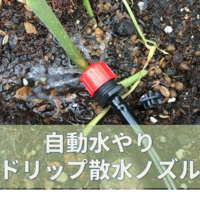 自動散水タイマーは信頼の国産メーカーのタカギで決まりでしょう 薪とともに 自動散水タイマーは信頼の国産メーカーのタカギで決まりでしょう 薪とともに