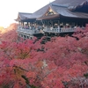 国内旅行：　紅葉の京都へ　２日目（帰り）