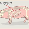 スペアリブとは何なの？リブの意味は？部位は豚と牛で違うのは何故