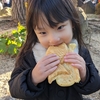 大晦日　弟くんインフルうつる