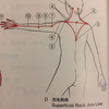 左肩の痛みの原因が意外なところだった