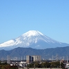 再度（再々度か！？）「雪景色の富士山」。