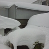 雪の日晴れのち雨