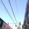 3月26日…晴れ